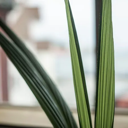 Eilert Smith 4* Stavanger