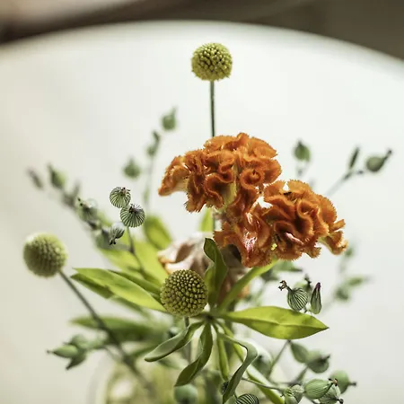 Szálloda Eilert Smith 4*