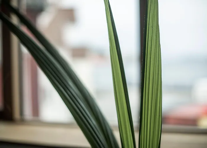 Eilert Smith 4* Stavanger